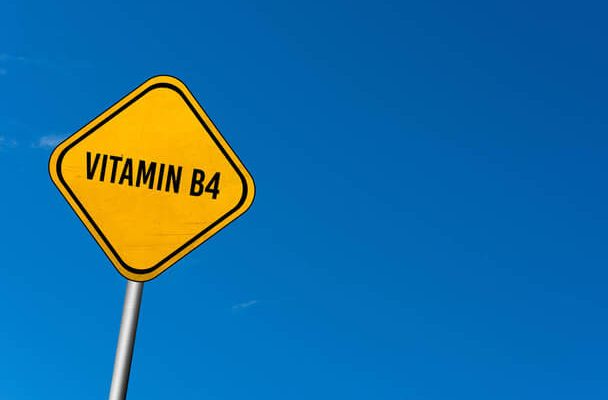 B4-vitamin (adenin): Mi ez, mire jó, és hogyan szerezzük be?