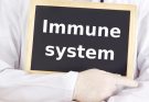 Mi az immunrendszer szerepe?