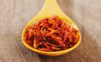 A sáfrányos szeklice egészségünkre gyakorolt pozitív hatásai