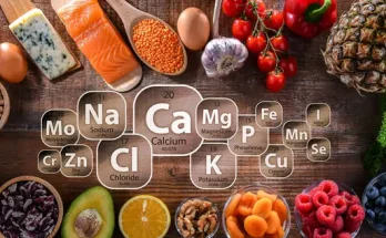 Kálium és nátrium: nélkülözhetetlen ásványi anyagok szerepe
