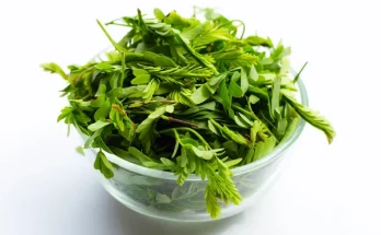 A tamari levelek egészségügyi előnyei és alkalmazásuk módjai